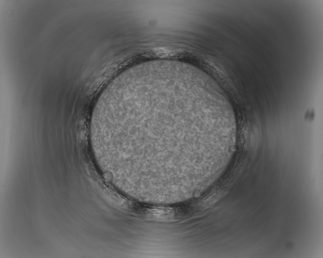 X0000114680317200911121502
