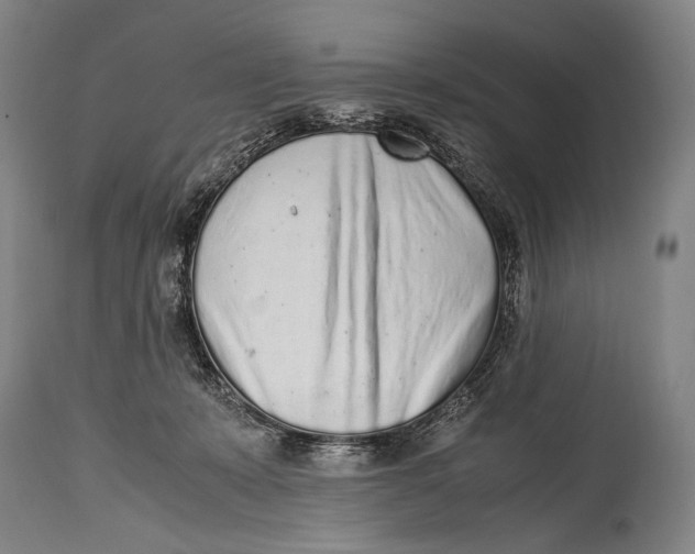 X0000114680319200911121502