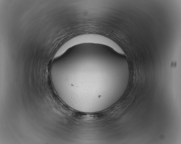 X0000114680320200911121502
