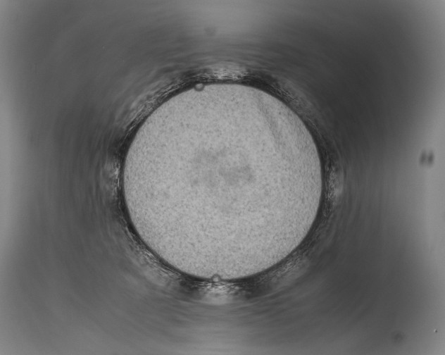 X0000114680321200911121502