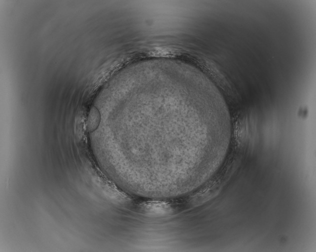 X0000114680322200911121502