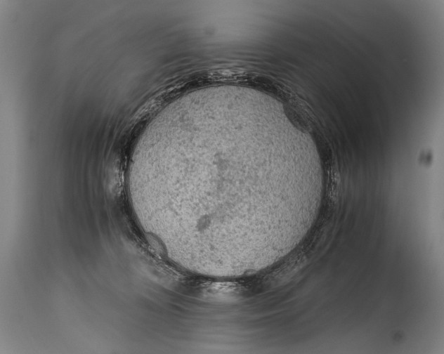 X0000114680324200911121502