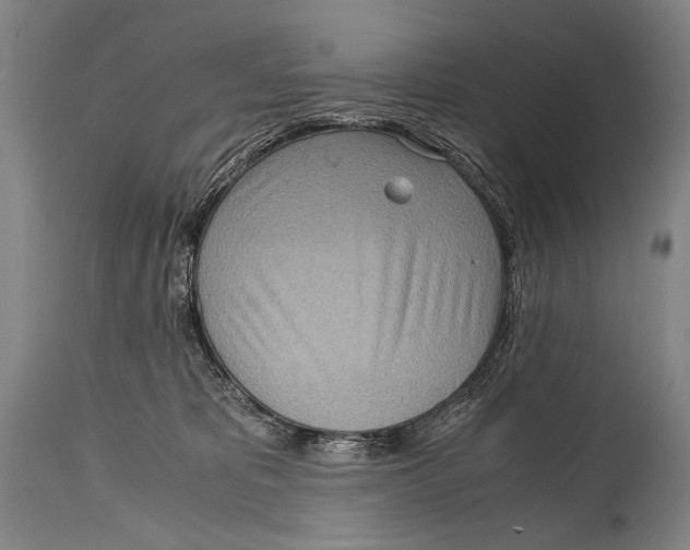 X0000114680325200911121502