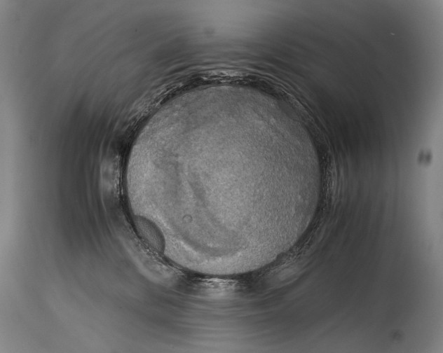 X0000114680328200911121502