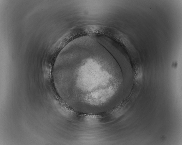 X0000114680332200911121501