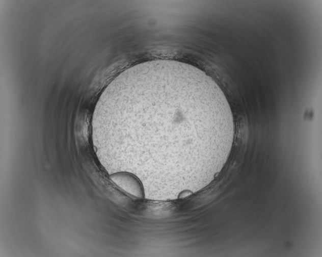 X0000114680334200911121501