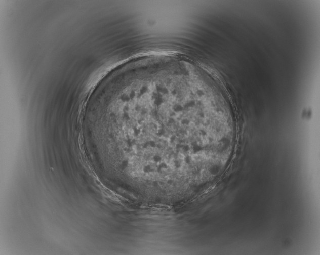 X0000114680337200911121501