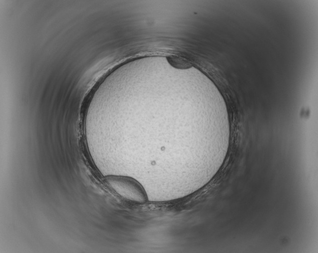 X0000114680338200911121501