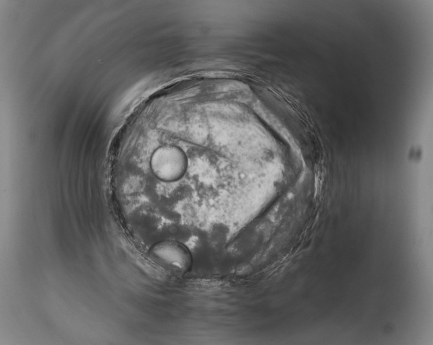 X0000114680339200911121501