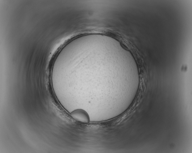 X0000114680342200911121501