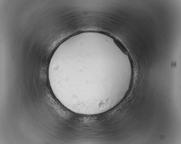 X0000114680345200911121501