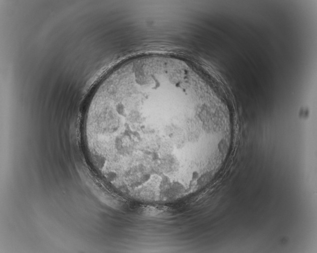 X0000114680346200911121501