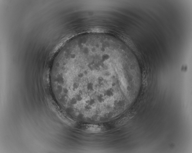 X0000114680347200911121501