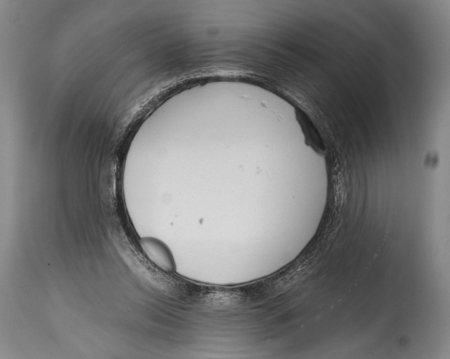 X0000114680350200911121501