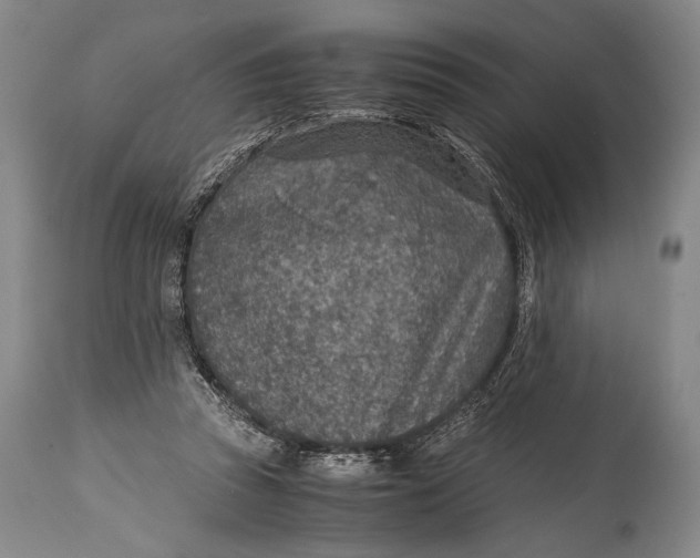 X0000114680353200911121501