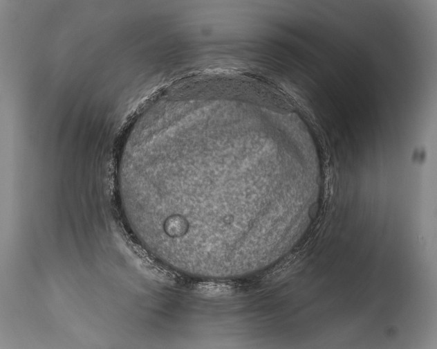 X0000114680354200911121501