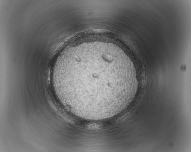 X0000114680358200911121501