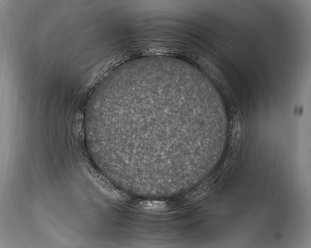 X0000114680361200911121501