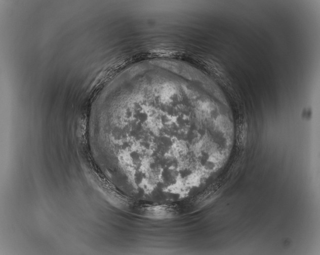 X0000114680365200911121501