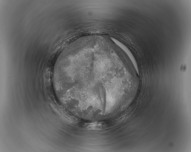 X0000114680366200911121501