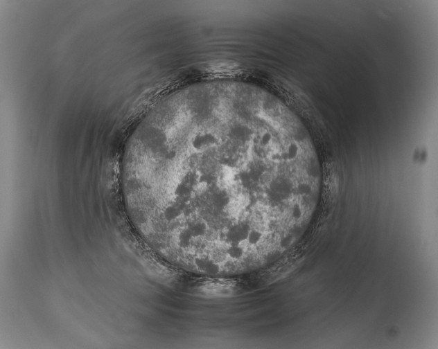 X0000114680369200911121501