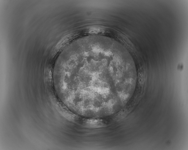 X0000114680375200911121501