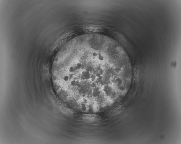 X0000114680377200911121501
