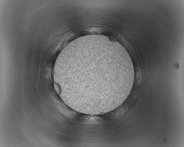 X0000114680379200911121501