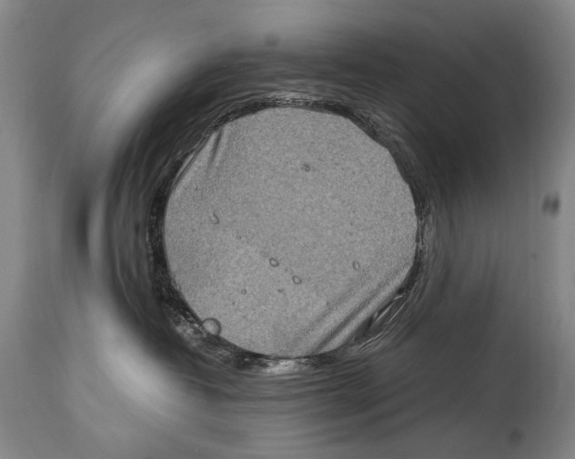 X0000114680382200911121501