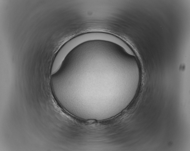 X0000114680385200911121501