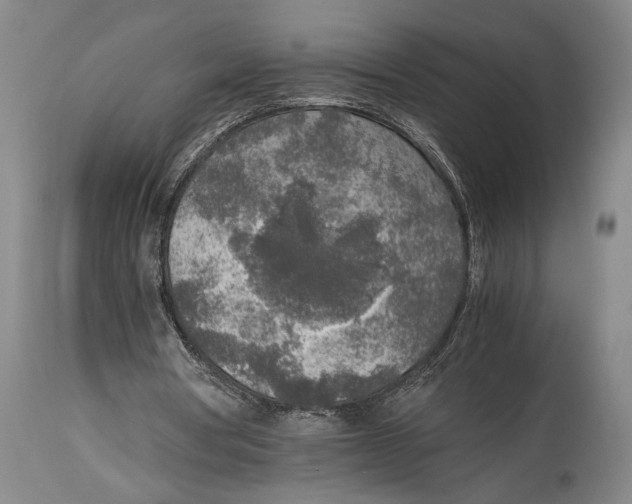 X0000114680386200911121501