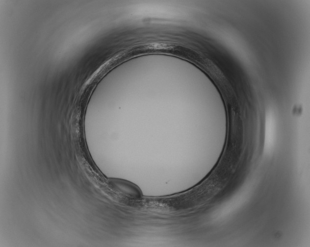X0000114680387200911121501