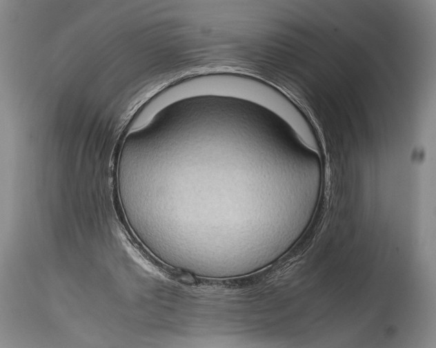X0000114680389200911121501