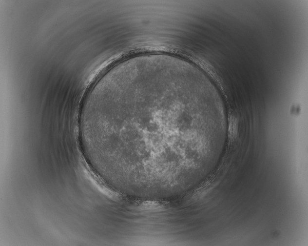 X0000114680390200911121501