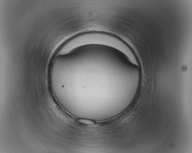 X0000114680391200911121501