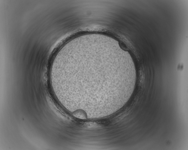 X0000114680392200911121501