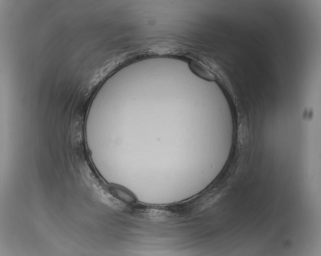 X0000114680393200911121501
