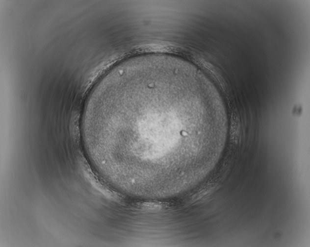 X0000114680394200911121501
