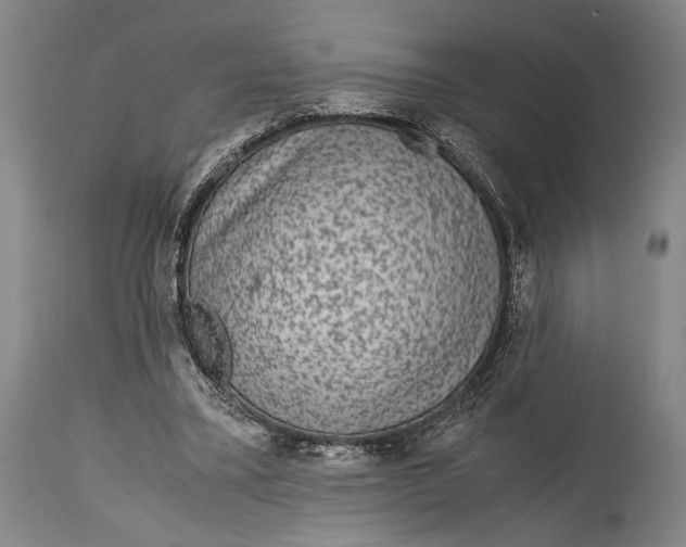 X0000114680395200911121501