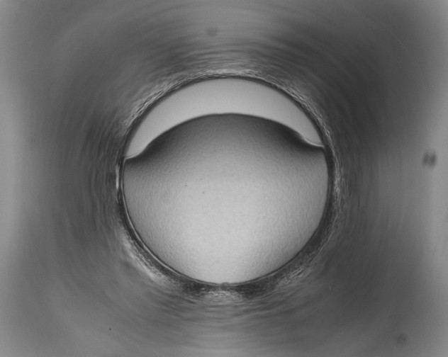 X0000114680397200911121501