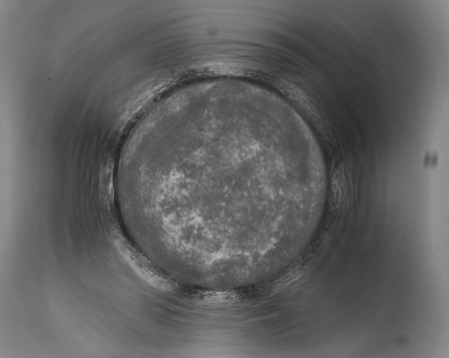 X0000114680398200911121501