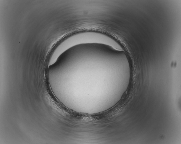 X0000114680399200911121501