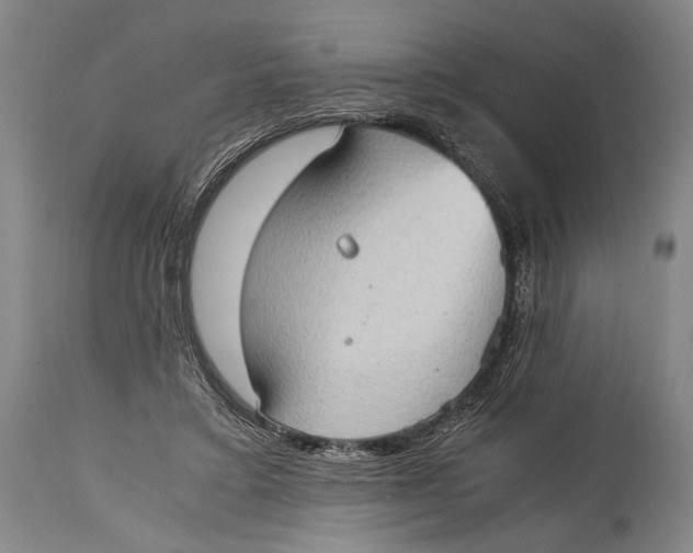 X0000114680403200911121500