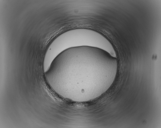 X0000114680405200911121500