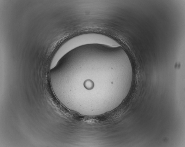 X0000114680407200911121500