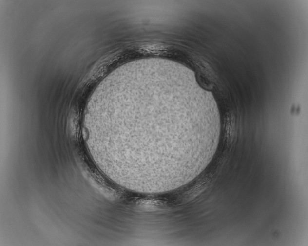 X0000114680408200911121500