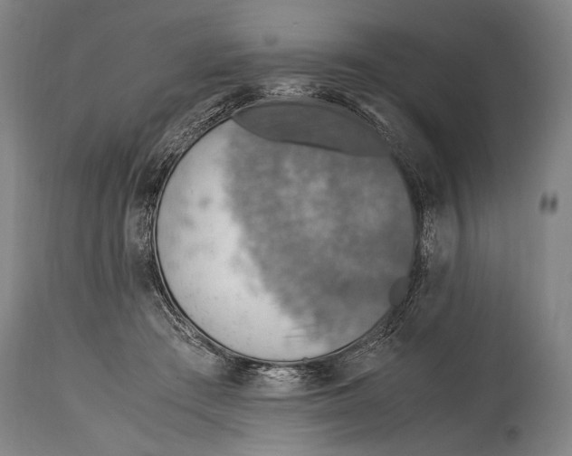 X0000114680409200911121500