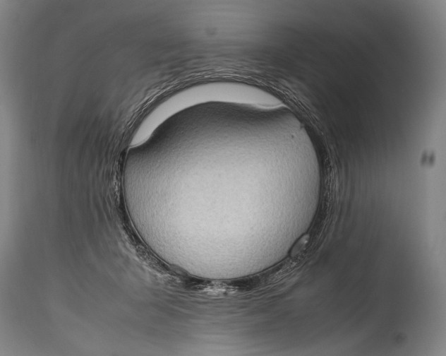 X0000114680415200911121500