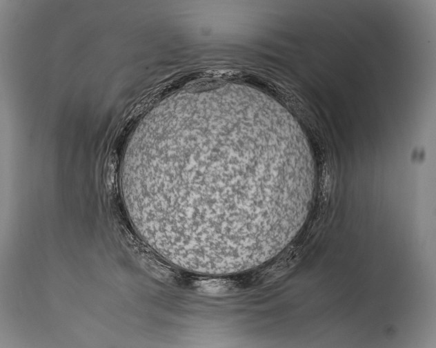 X0000114680417200911121500