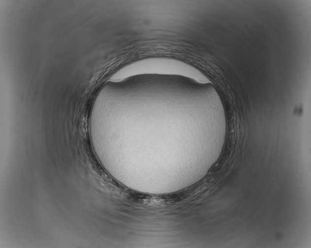 X0000114680419200911121500